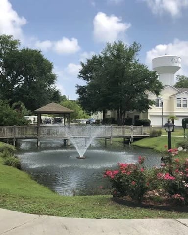 Residential community pond with fountain, wooden bridge, pink flowering shrubs, and multi-story homes surrounding manicured lawn.
